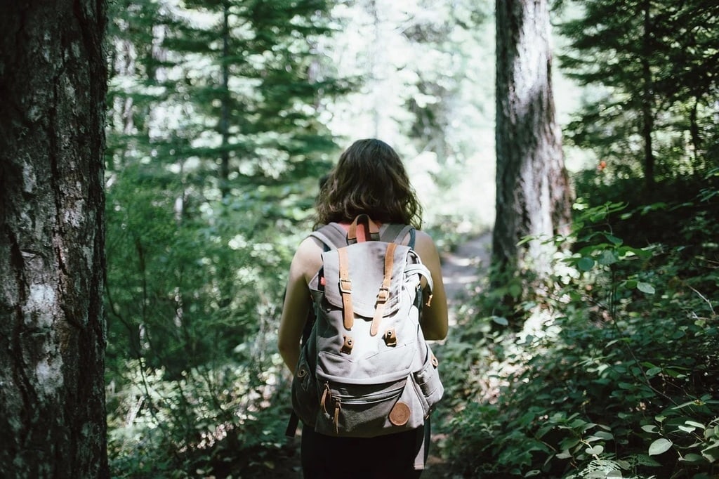 Blog voyage tendance&nbsp;: conseils, itinéraires et expériences à partager